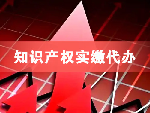 凯里知识产权实缴资本代办